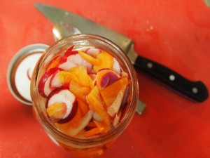 Radish and Carrot Quick Pickles