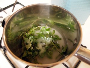 Mint simple syrup pre-boil.